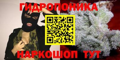 ALPHA PVP Комсомольск-на-Амуре
