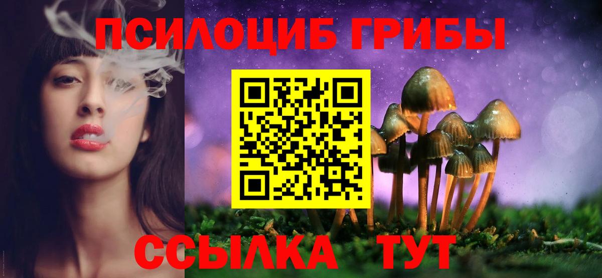 Урюпинск  Псилоцибиновые грибы Magic Shrooms  Вход с VPN 